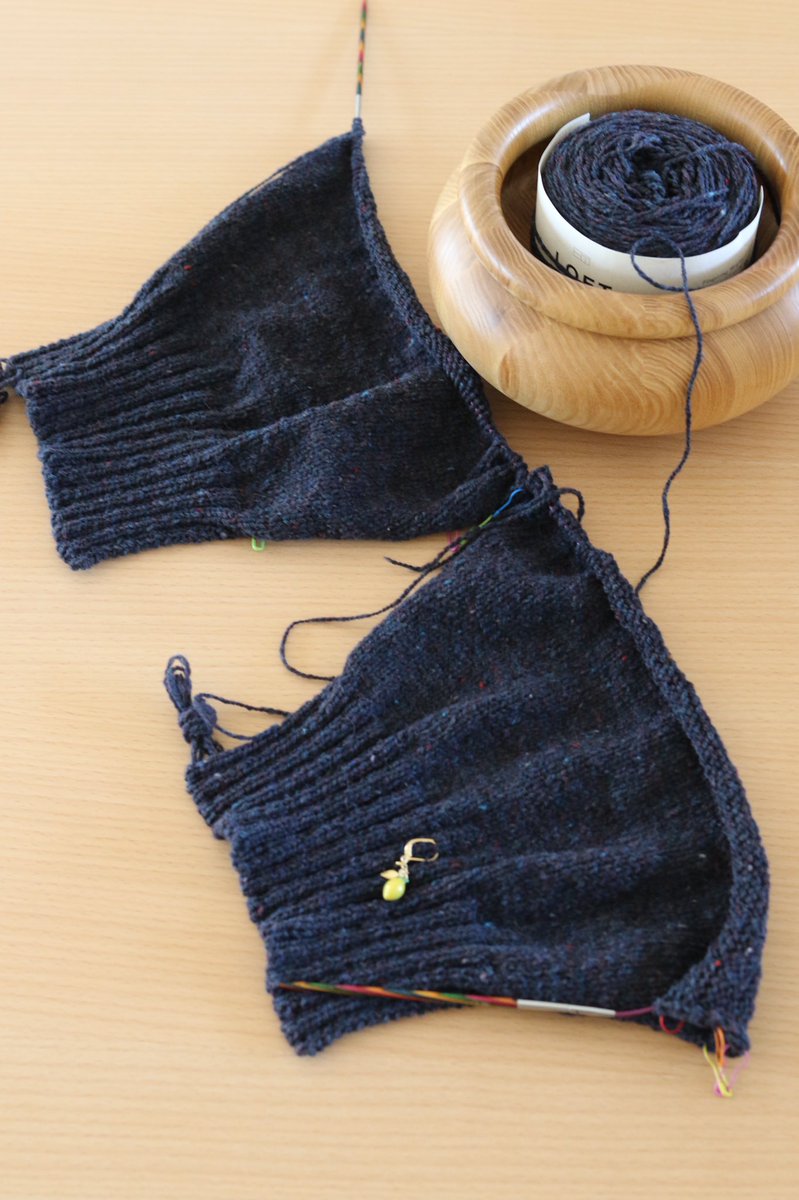 keitoamico's tweet photo. お袖ちゃん。同時編みしてた👯♀️
#solennsweater
#ravelry
#brooklyntweed
#loftyarn
#編み物 https://t.co/Av0TlGpES0