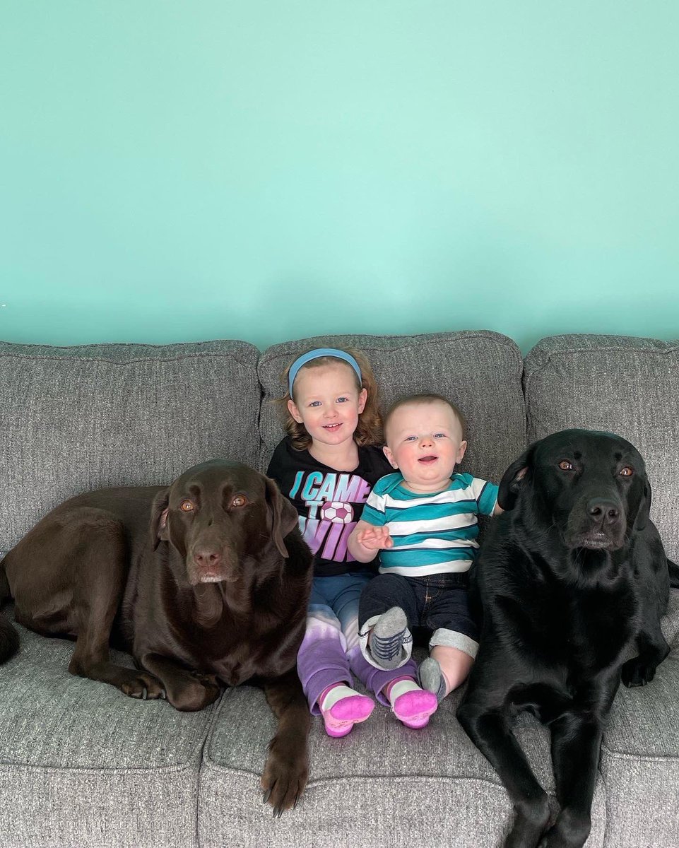 WHSCoachSmall's tweet photo. Big day today, Little man, in the blink of an eye turned 9 months old, Cali turned 6 years old and Happy National Puppy Day to Cali and Abby! #JosephThomas #Cali #Abby #Labs https://t.co/28wfEU2Mcw