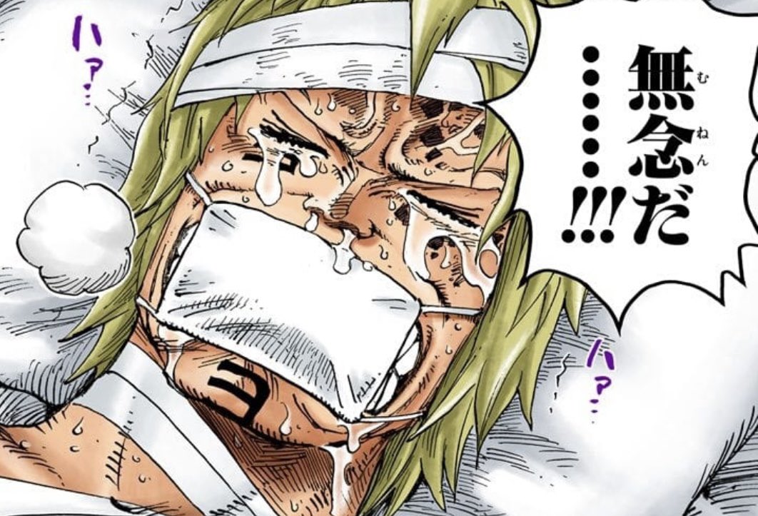 Salty Dog ヨーキ船長のマスク 鼻が隠れてないし もっと大きめのサイズ選ばないと不恰好だよな あの政策を思い出す Onepiece ワンピース ヨーキ ルンバー海賊団 ブルック マスク アベノマスク T Co Orpaj35gds Twitter