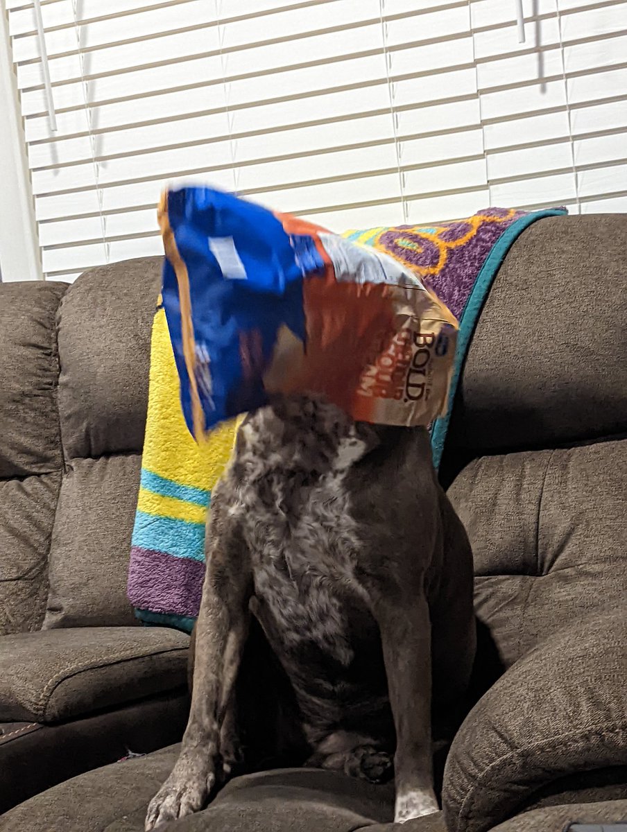 ToodlesHCR's tweet photo. I need the last crumb damnit!! https://t.co/v3JInwsb1t