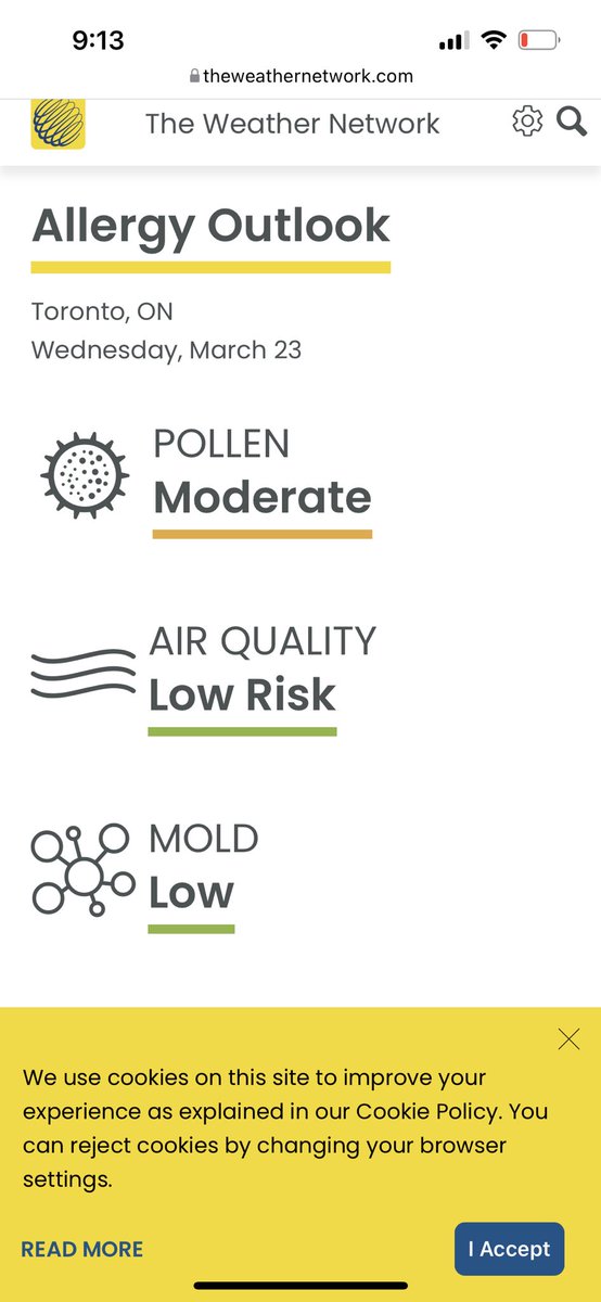 cee_n23's tweet photo. It’s time to play “is it covid or is it allergies?” https://t.co/56vockE2Z9
