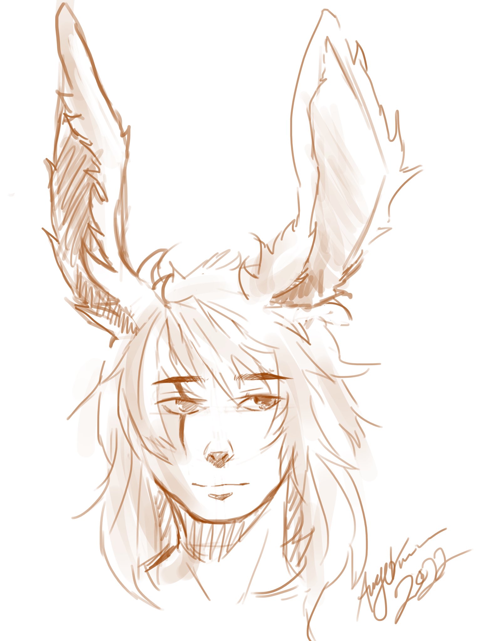 Sketchy Anki - cy020ms