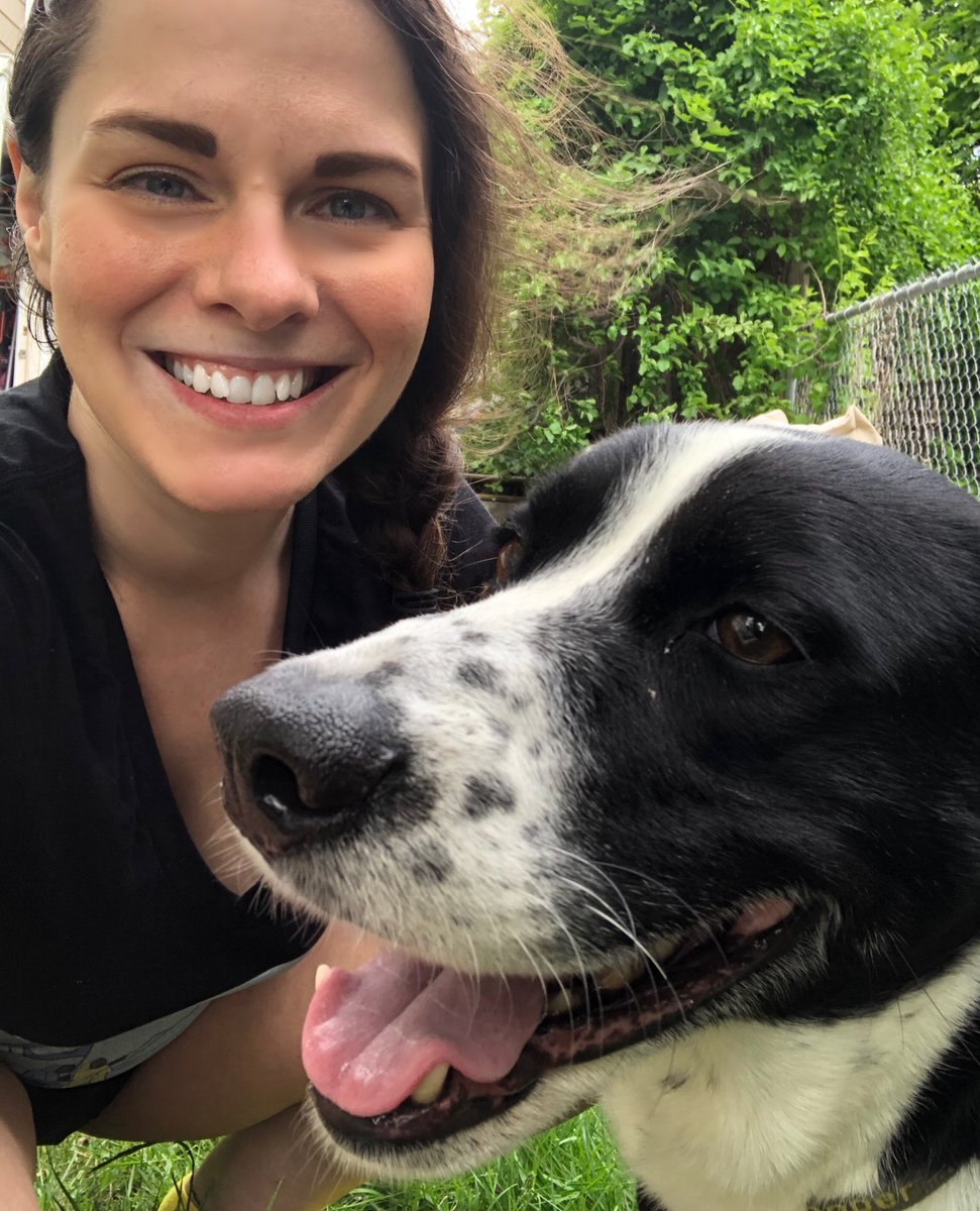 Boardgame_girl1's tweet photo. Happy #NationalPuppyDay to this amazing Cooper #dog!

Best #puppy ever ❤️ https://t.co/JjeF0F6RvF