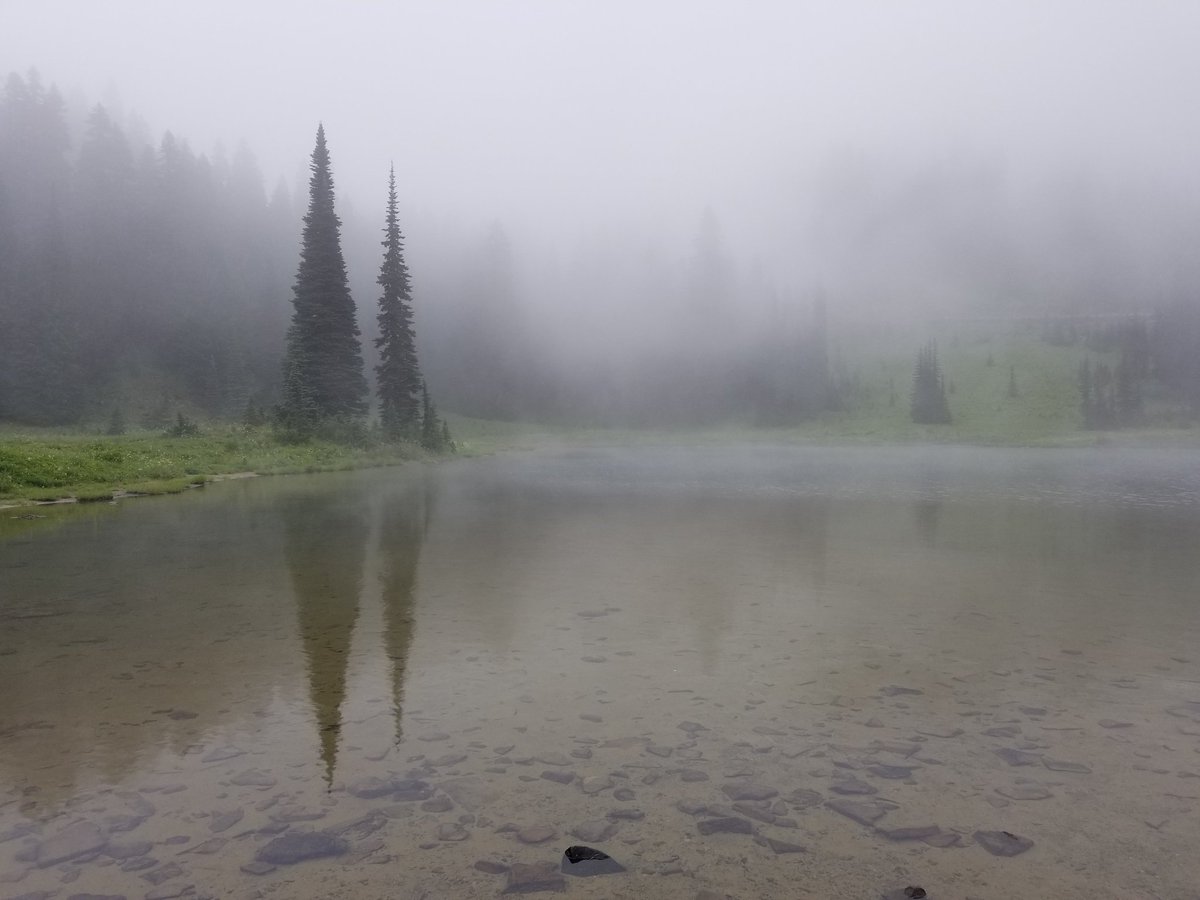 ryanlouie's tweet photo. @naturetechfam @59NationalParks A2: Rain and clouds are OK. I went to @MountRainierNPS one time and didn't see #MountRainier. Still super fun! I follow along with @NWSSeattle and tweet about #wawx. :-) #ParkChat #TipsooLake https://t.co/XDDAhgUTqs