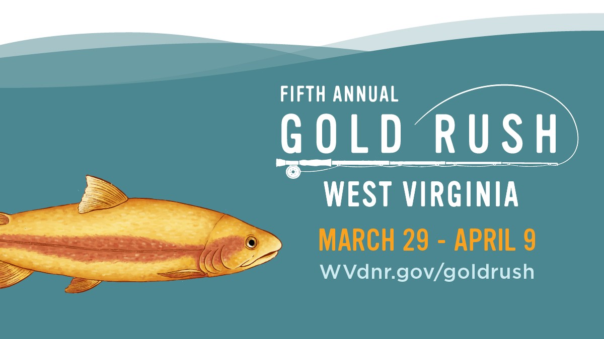 West Virginia Gold Rush returns on March 29! Find more information from <a href="/wvdnr/">WVDNR</a> at WVdnr.gov/goldrush and get ready to strike gold in #AlmostHeaven. 

#GoldRushWV