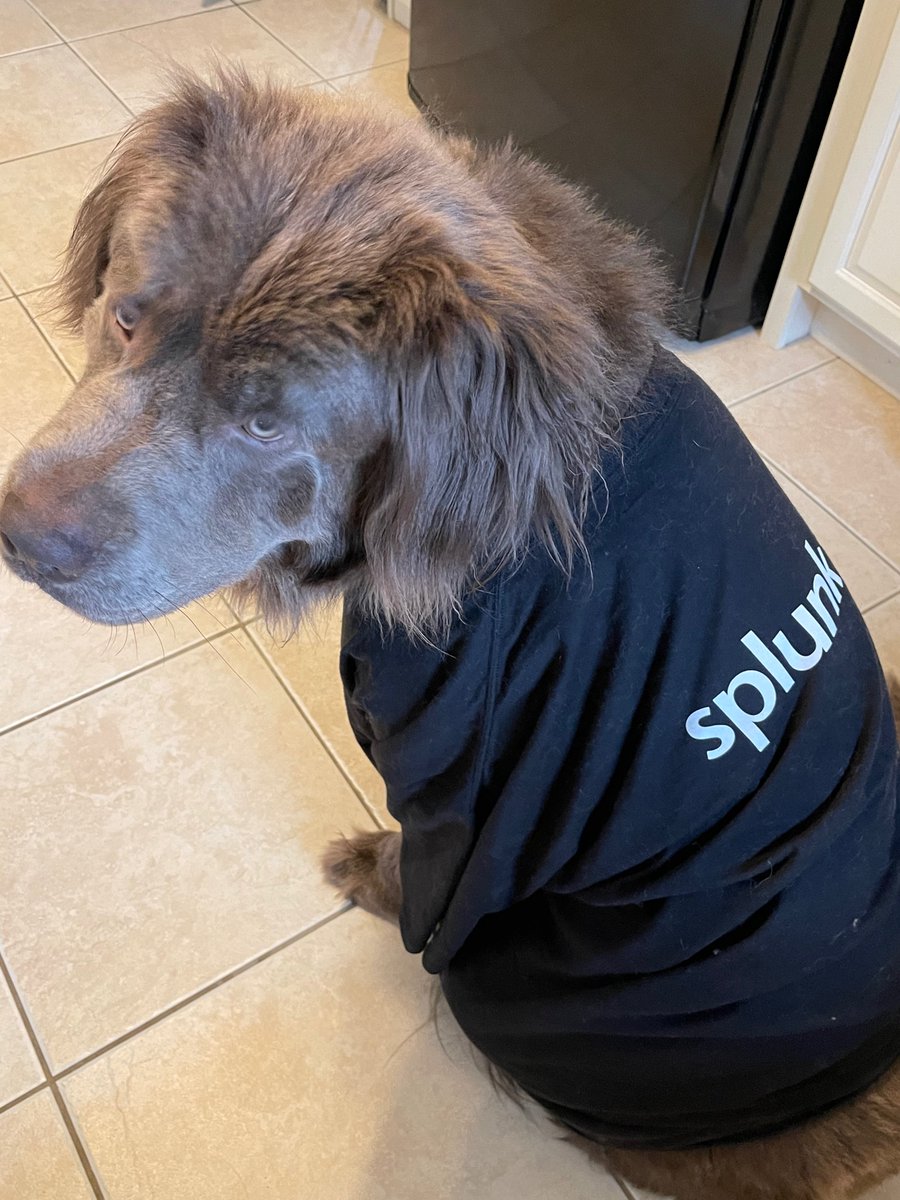 Happy National Puppy Day #splunk #newfies