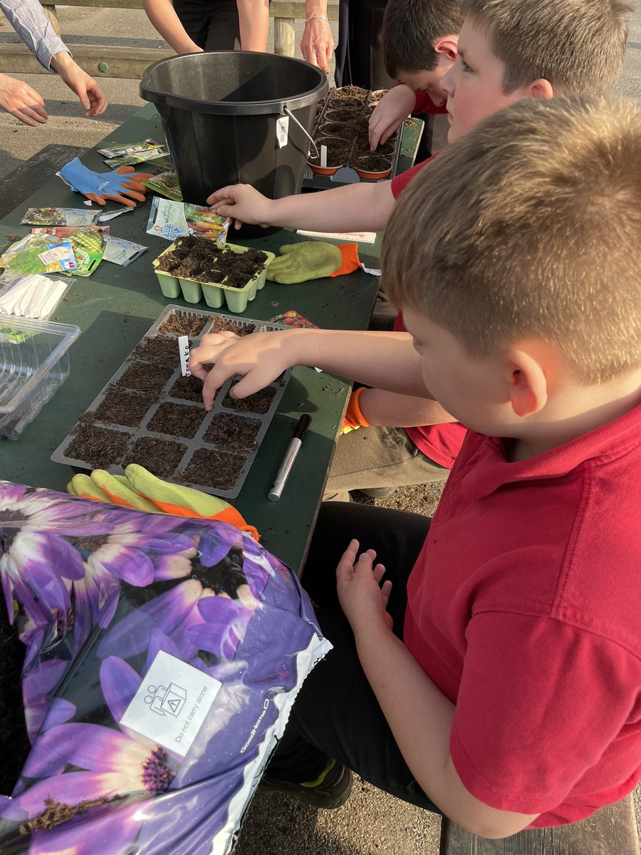 CharlotteSL2017's tweet photo. Fantastic first Gardening Club tonight. We’ve started to sow some seeds of a variety of fruit and vegetables 🥕 🥬 🍅 we can’t wait to watch them grow #BGExtra https://t.co/01kRMXsPC4