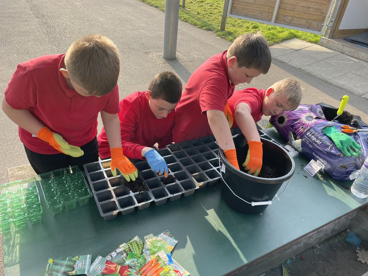 CharlotteSL2017's tweet photo. Fantastic first Gardening Club tonight. We’ve started to sow some seeds of a variety of fruit and vegetables 🥕 🥬 🍅 we can’t wait to watch them grow #BGExtra https://t.co/01kRMXsPC4
