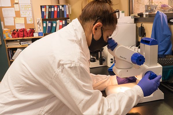 OkanaganCollege's tweet photo. Community collaboration  with @MicroplasticOK studies microplastics in #Okanagan Lake: https://t.co/k4YeeSDrbe https://t.co/TpHlEWnxG9
