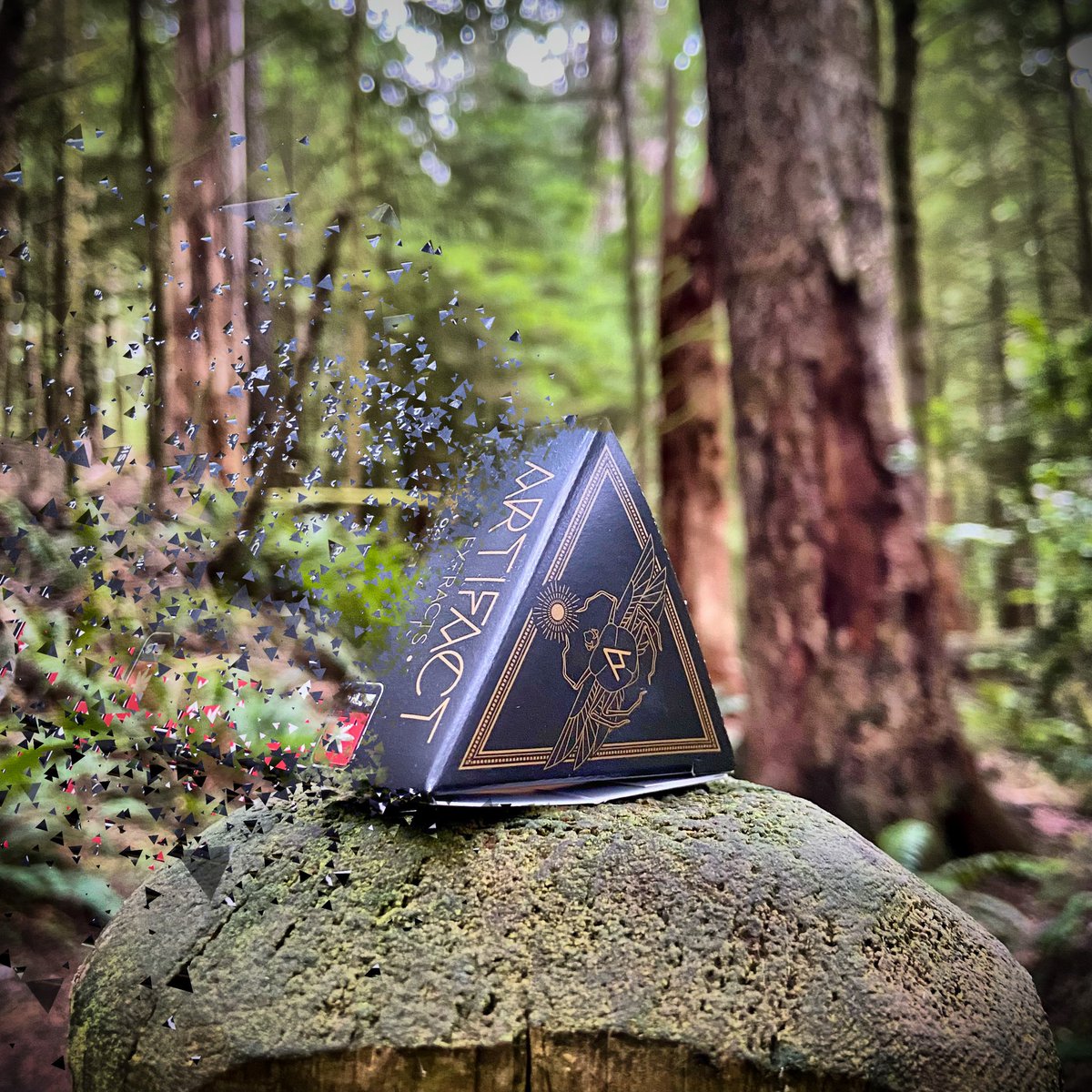 Artifact Extracts tweet media