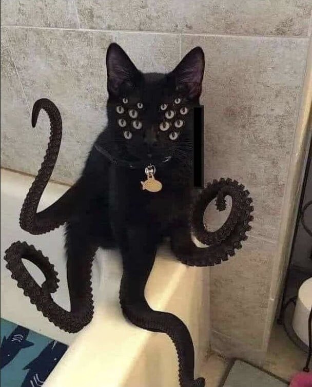 Necesito este gato…