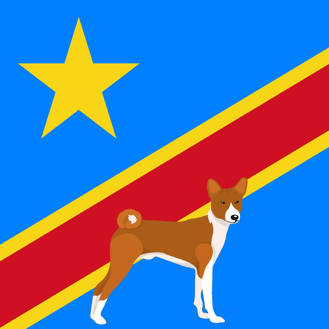 cryptodognation tweet media