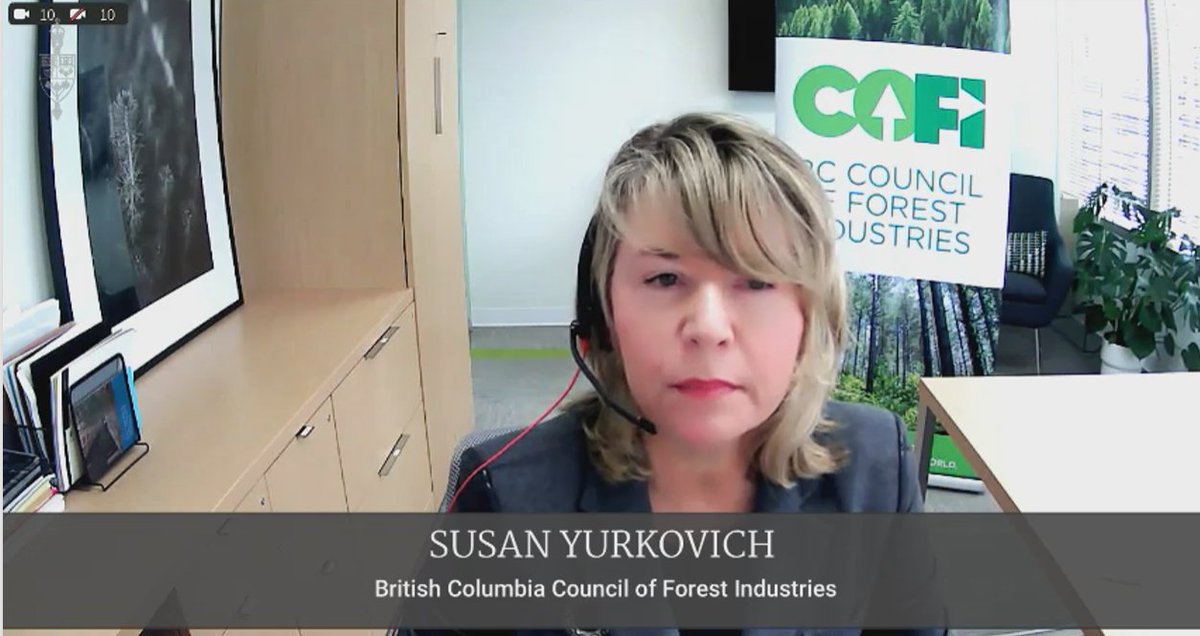 Our CEO Susan Yurkovich joined @HOCCommittees to urge a continued #TeamCanada approach on #softwood lumber dispute – supporting 🇨🇦 workers &amp; communities &amp; helping 🇺🇸 families’ ability to build homes with #sustainable, low-carbon #BCWood. Thank you <a href="/mary_ng/">Mary Ng</a> <a href="/BCLumberTrade/">BCLumberTradeCouncil</a>🌲