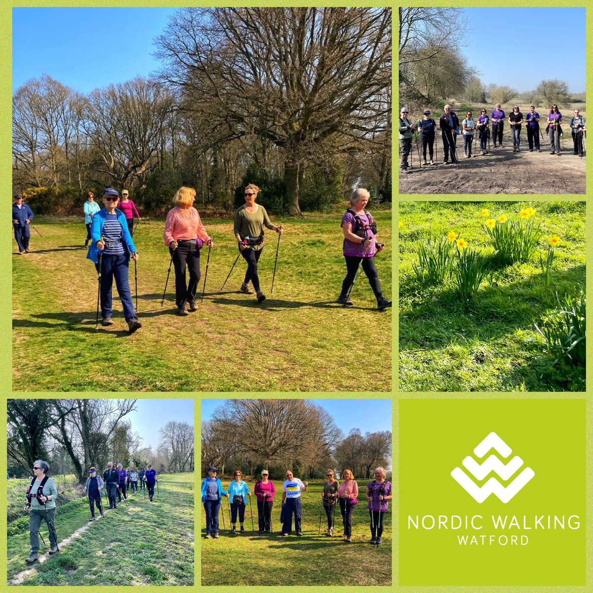 NW_Watford's tweet photo. The sun was shining, the daffodils were blooming and our Nordic Walkers were smiling!
A beautiful day 💜
#lovenordicwalking #getoutside #marchdays https://t.co/kWZFmpdzNX