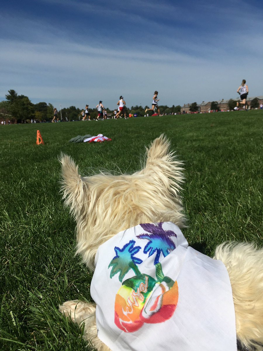 Versa Ultimate tweet media