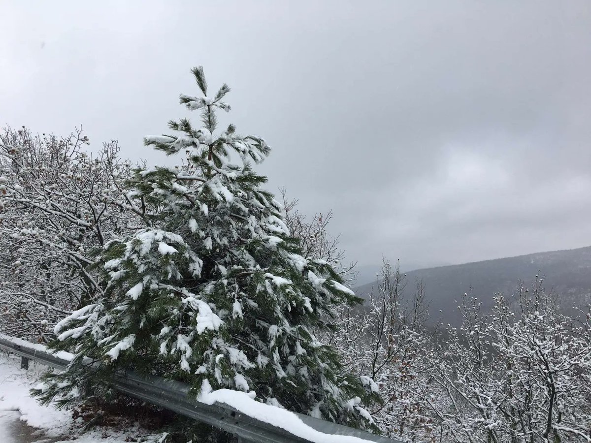 In the nature ❄🇬🇷