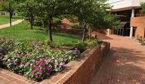 CUA Mathematics tweet media