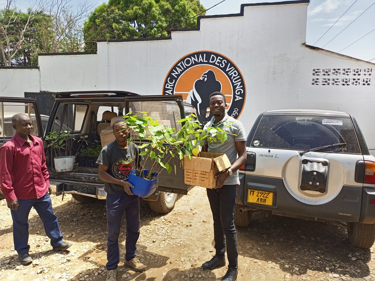 STEPHENSALAMA's tweet photo. À l'occasion des journées mondiales des forêts (21 mars) et de l'eau (22 mars) ns avons organisé 1 activité de plantage d'arbres à l' #UCBC Beni, en collaboration avec le groupe #CreationCare. Merci @gorillacd de ns avoir disponibilise des plantules. #WorkProgram https://t.co/AQvYFxc8gB