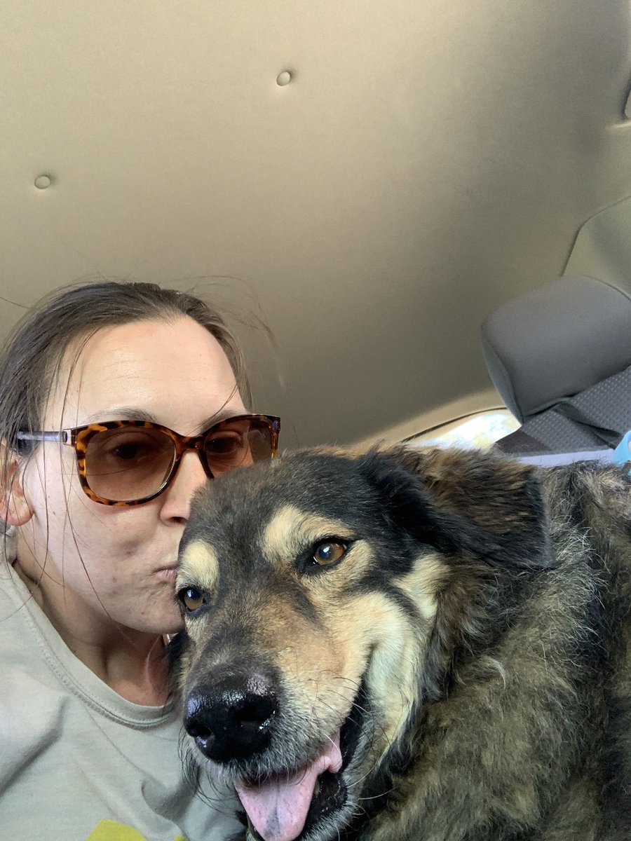 MartinaRogowsky's tweet photo. Happy #NationalPuppyDay to my sweet baby girl #Katsy No matter how old she gets she’s still my little #pupper #germanshepherdgoldenretriever #dogmom #AdoptDontShop https://t.co/HPTfq1MQ8b