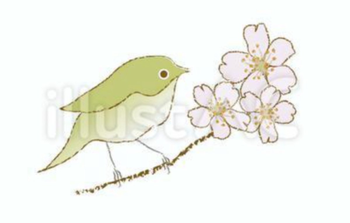 Crazy Nyanko クラフト雑貨 無料イラスト素材 S Tweet 無料イラスト素材のご紹介 桜 と ウグイス の 手描き イラスト ダウンロードはこちら 最新情報はinstagramへ さくら 花見 春 鶯 お絵描き イラストac イラスト好きな人と繋がりたい 絵柄が