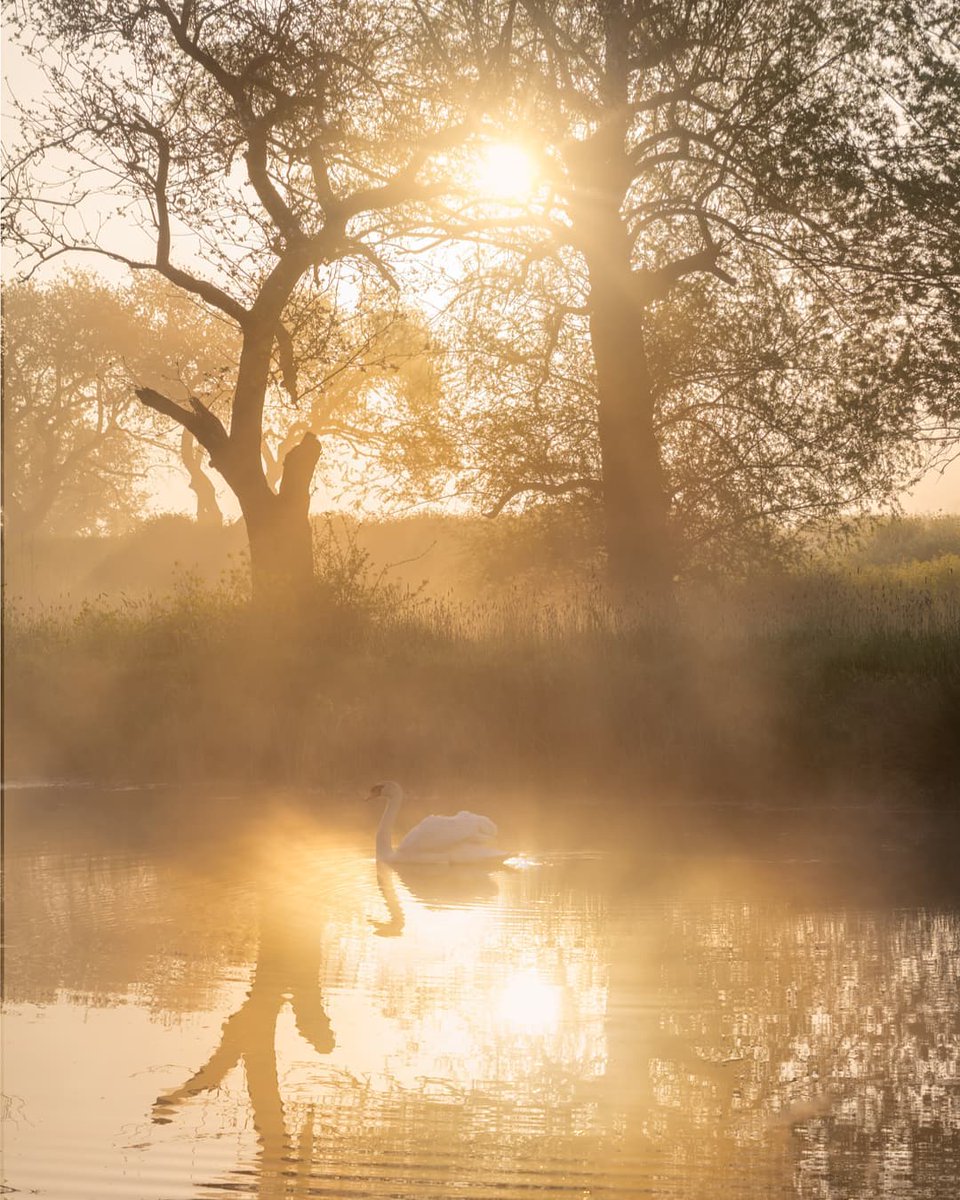 Mooie donderdag. Liefs, #TeamPositief

📸 Ellen vd Doel #Goedemorgen