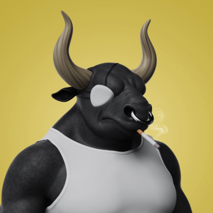 Secret Bulls Society tweet media