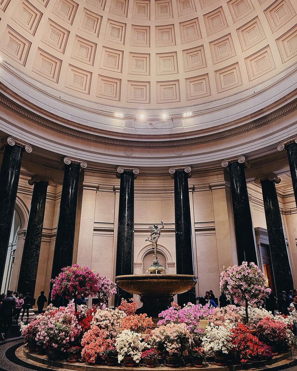 Spring is in the air 🌸