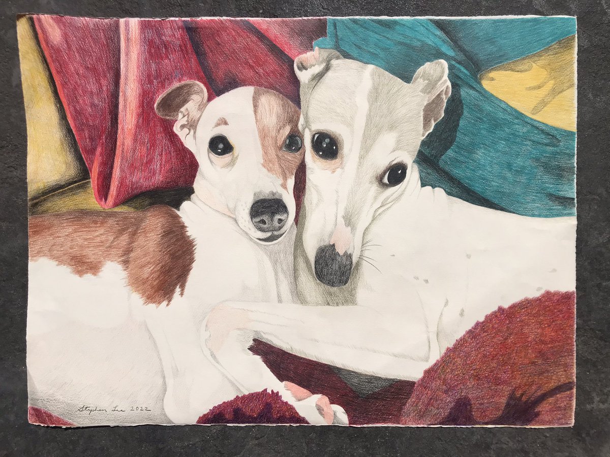 My husband’s artistic rendering of our #furbabies. #dogart #dogartists #italiangreyhounds #sighthoundart