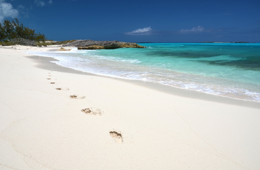 NickiEliteTC's tweet photo. Footprints on the beach of Little Exuma, Bahamas!  That and the pigs waiting for you!  

#BucketList #NickiEliteTravel #Exuma #SwimwiththePigs #Bahamas https://t.co/ilcLkSxM8x