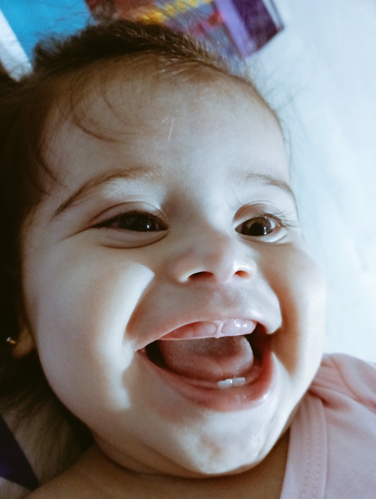 Fernanda tweet media