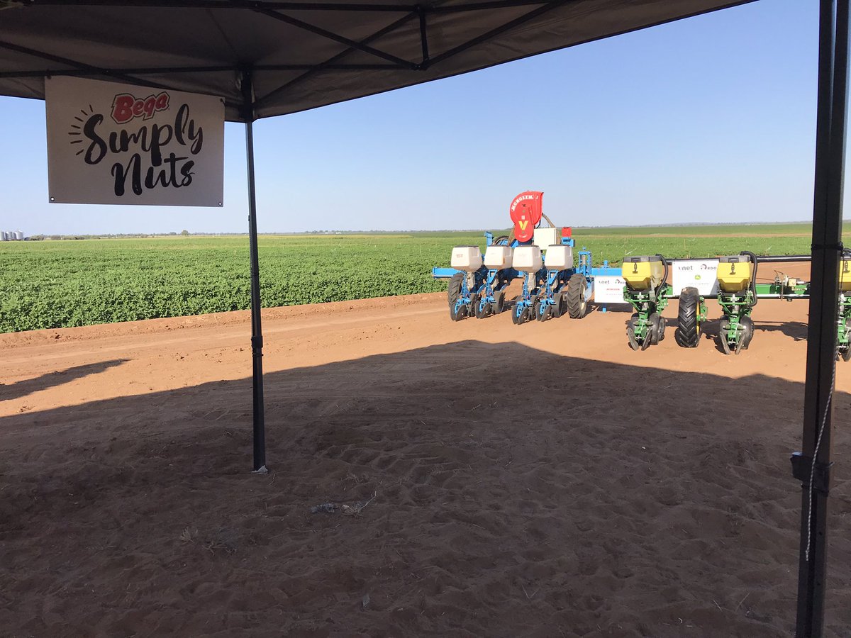 richardweston_1's tweet photo. Just finishing setup for todays High Value Crop field day, join us this afternoon to hear from industry experts on peanuts, sesame, new release of mung beans, weather/pest monitoring @RDOequipmentAU @VnetPrecisionAg @CQUniAg @ploddingnutter @MetosANZ #workingwithpartners https://t.co/Z8WU0SRiPC