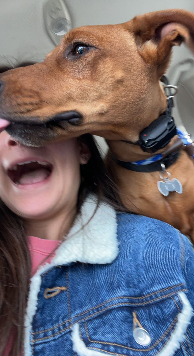 Brookeblau's tweet photo. Happy #NationalPuppyDay to my best friend 💘 https://t.co/AmJBYJWwu7