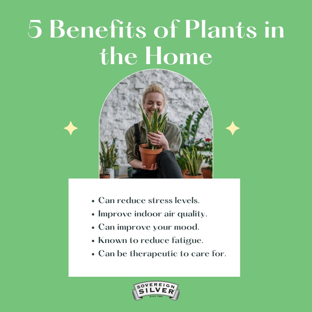 Keeping plants in the home is just one way you can utilize your space to maximize wellness. 🌿 🍃 

Some other ways include using calming colors in your home and having specific areas to relax in! 

What are some ways you ensure a stress free environment in your home?
