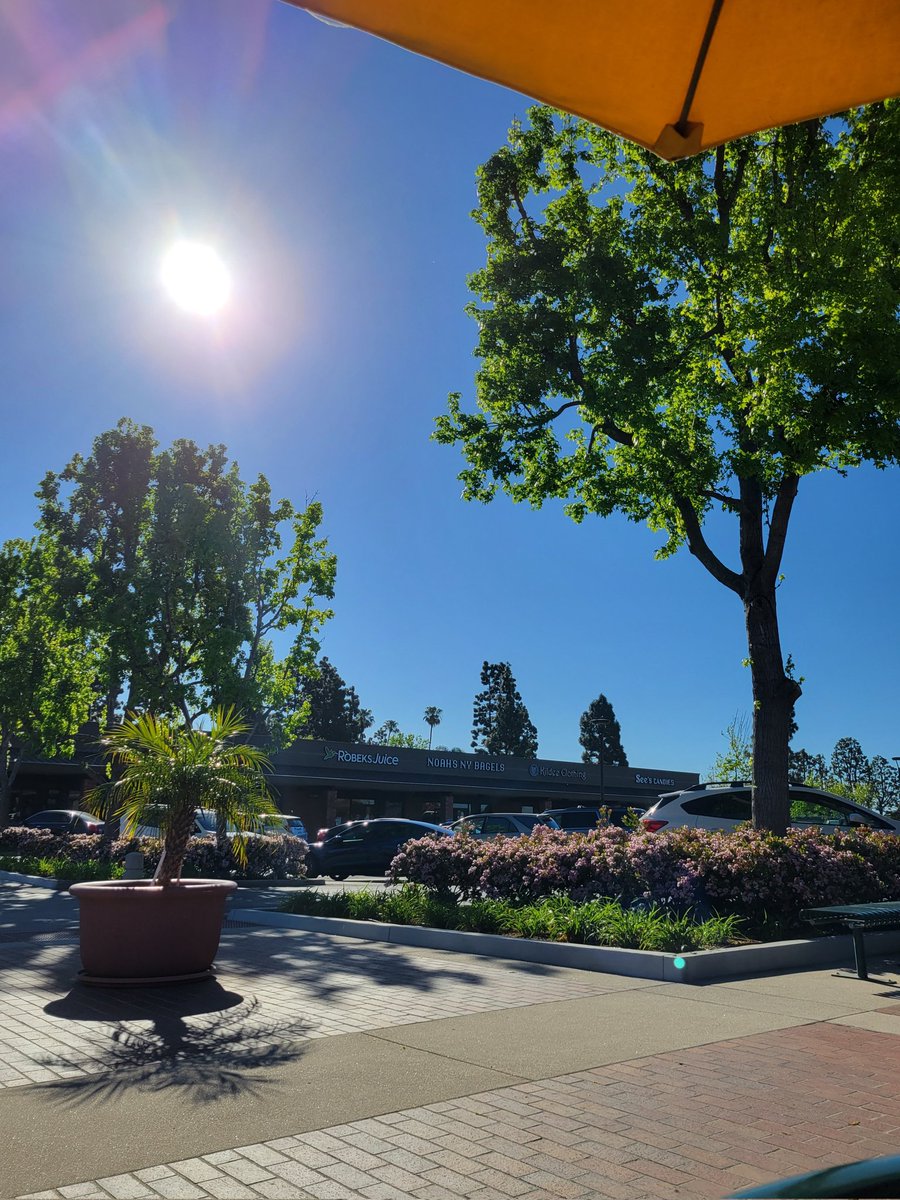 _vkenned's tweet photo. My younger self would be so proud of me! ☀️🙏🏽 Lately this has been a typical day for me, and I can't believe my everyday life looks like a vacation now. https://t.co/g0iBPfGmOO