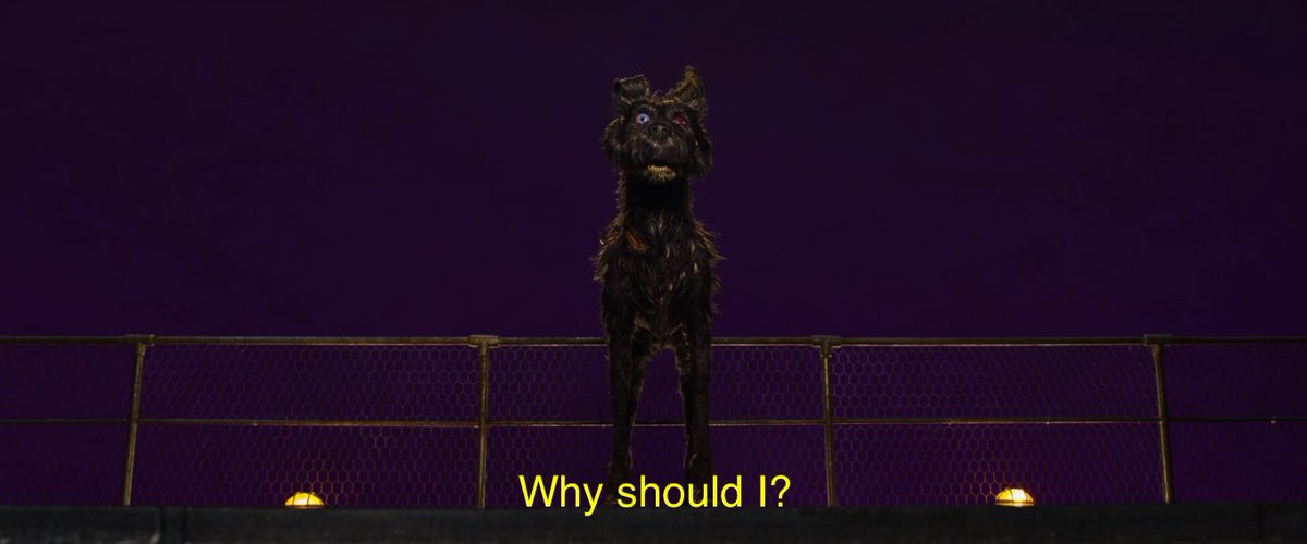 Wes Anderson Quotes tweet media