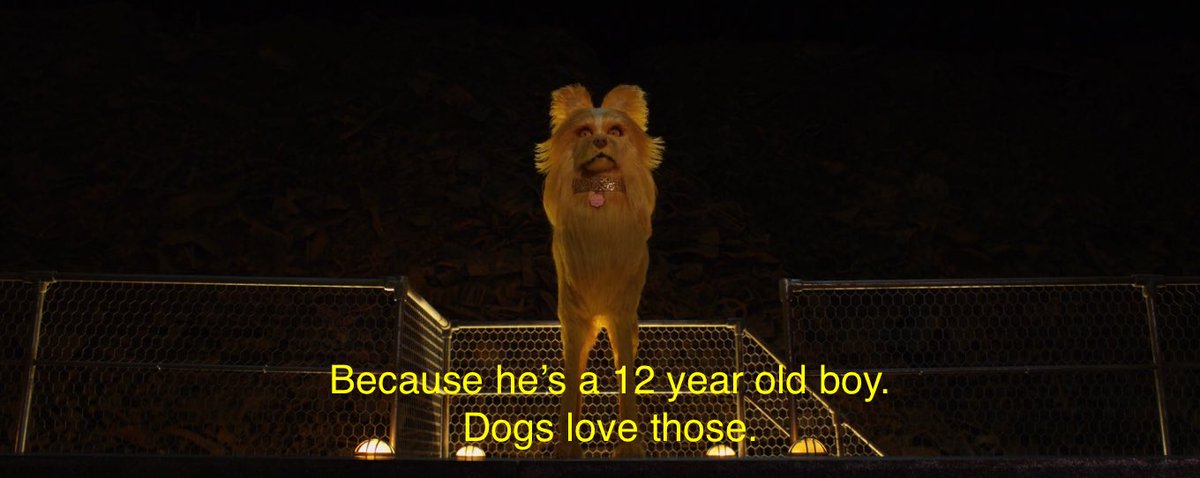 Wes Anderson Quotes tweet media