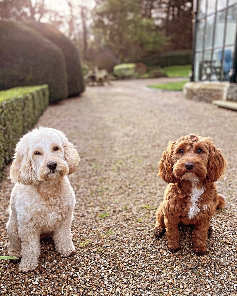 keepers cottages tweet media