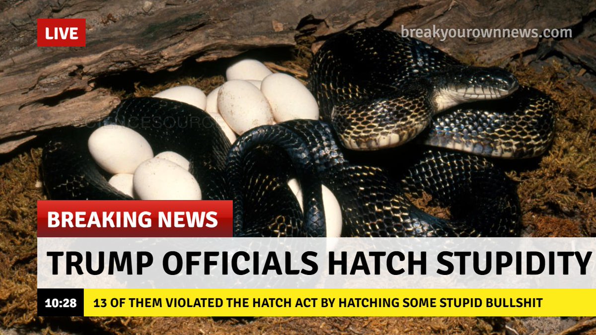 random_snakes's tweet photo. #HowToBeUnlikable Tell people how you REALLY feel with phony news headlines! 🤪🙄🤬🖕 https://t.co/CHIG5lknel