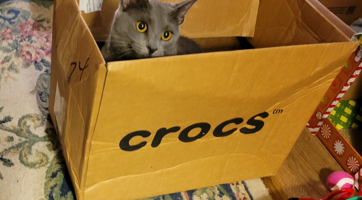 Harmony782's tweet photo. @Crocs Need a new mascot? https://t.co/7S5SZrTNzP