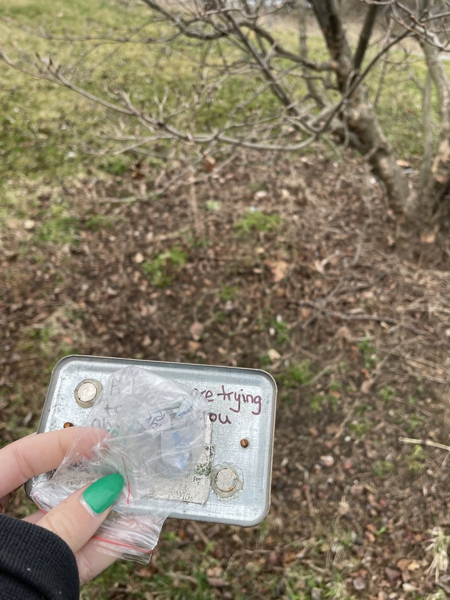 @peytonmorrell tweet media