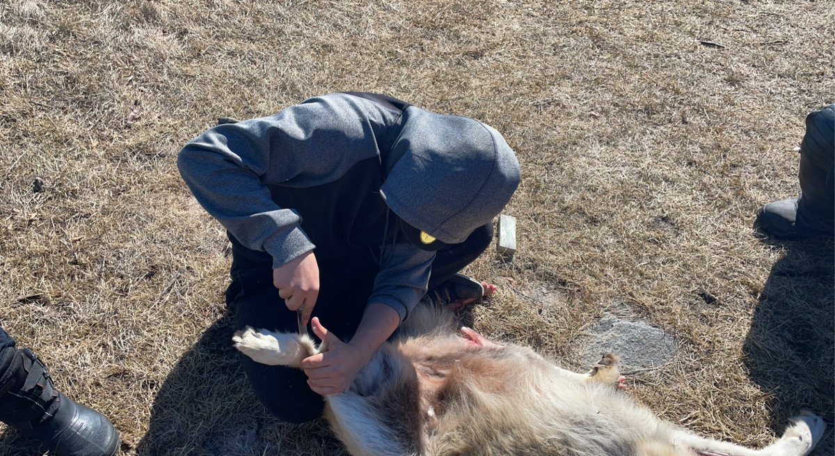 Garrick Schmidt tweet media