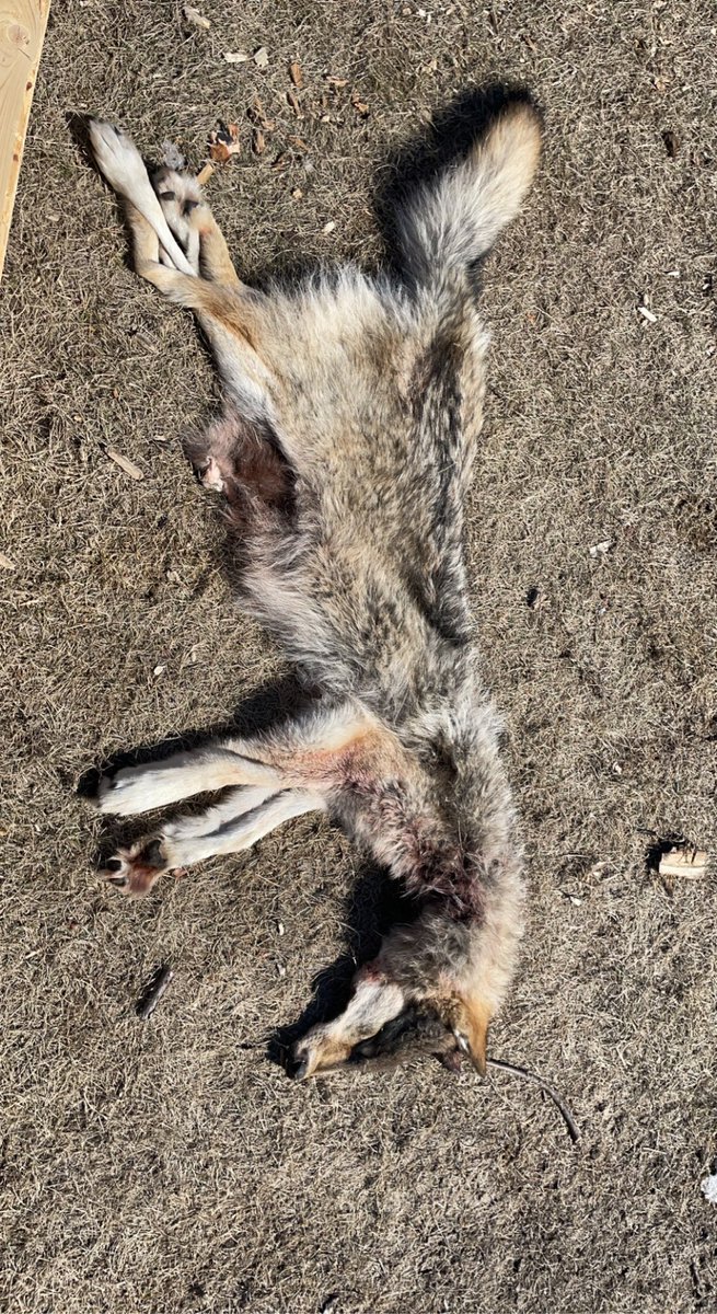 Garrick Schmidt tweet media