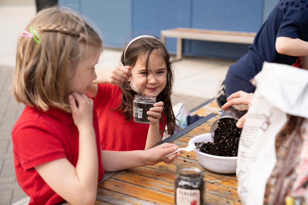 lyceechicago's tweet image. Planting seeds. Time will tell if our 1st graders have a green thumb. 🌱🌿🤣 #STEAM #JoyOfLearning #ItsAnElementaryThing #LycéeJourney
