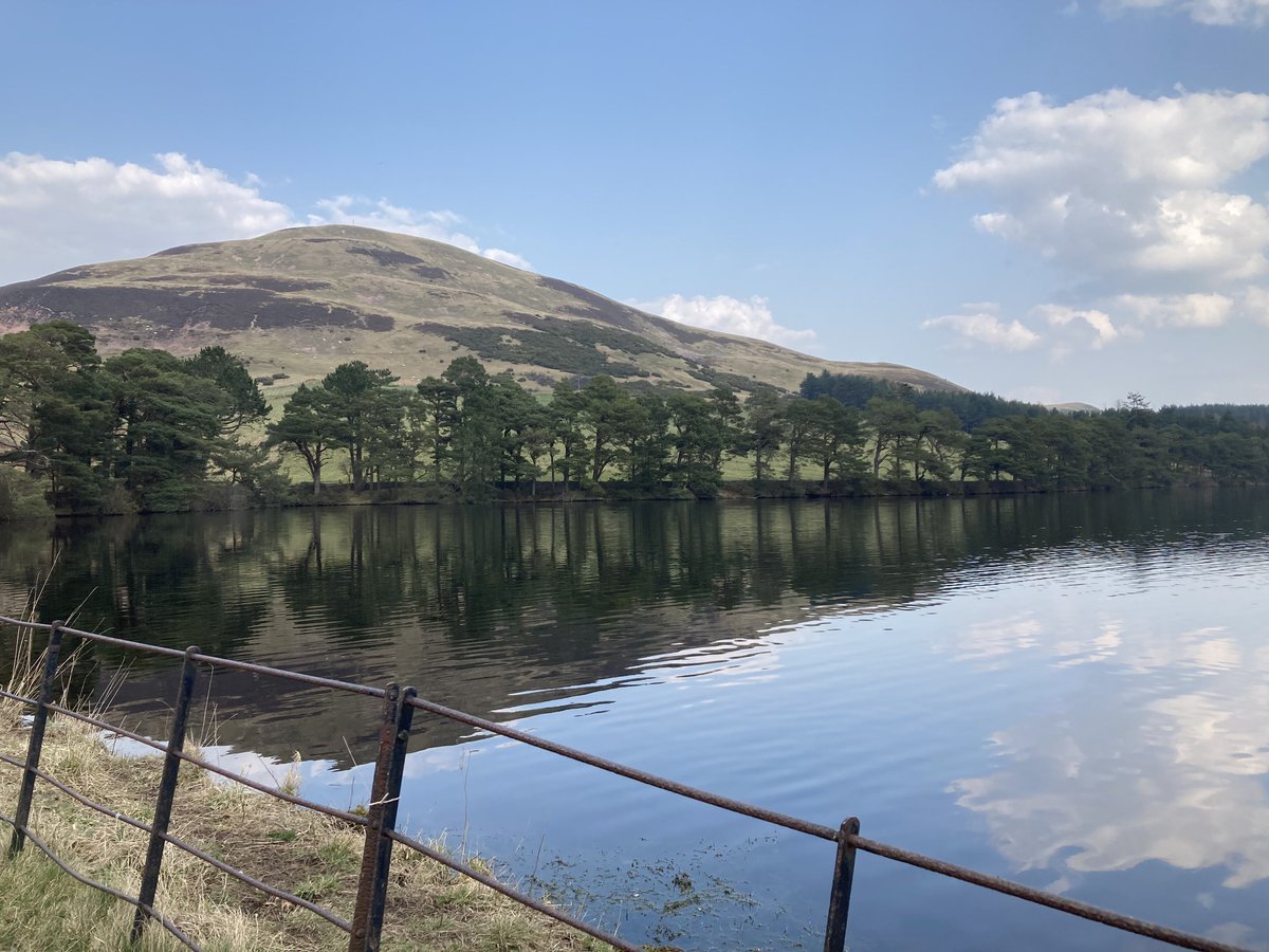 wilko1999's tweet photo. Spent the day outside in a beautiful landscape, taking in the sights and sounds of our beautiful ecology and natural habitat.  #AtHomeWithNature https://t.co/4dmTdlfDLJ