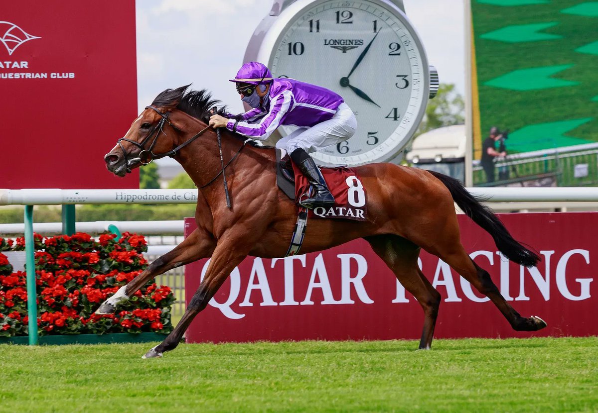 Tom Magnier Coolmore tweet media