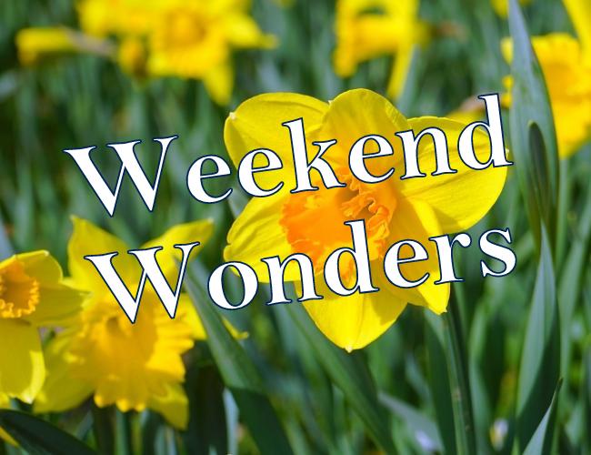 DoodlesArtCo's tweet photo. Looking forward to the next batch of Weekend Wonders Kids Workshops at @FlowerfieldArts starting with daffodil inspired crafts on Saturday 2nd April. Booking via Eventbrite
https://t.co/EqMSAdTwit
https://t.co/MWAe6sdewk
 #WeekendWonders #KidsWorkshops #CreativityIsMessy https://t.co/UcmXLaAfjL