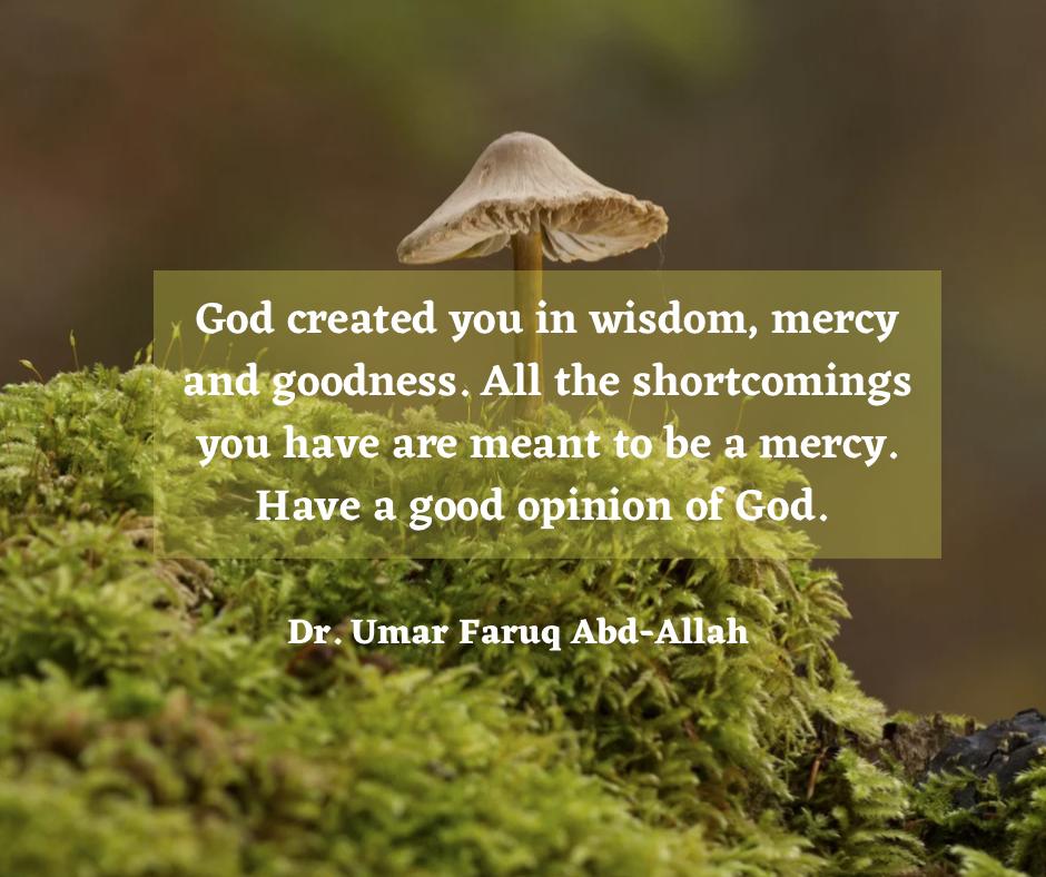 God created you in wisdom, mercy and goodness. All the shortcomings you have are meant to be a mercy. Have a good opinion of God.