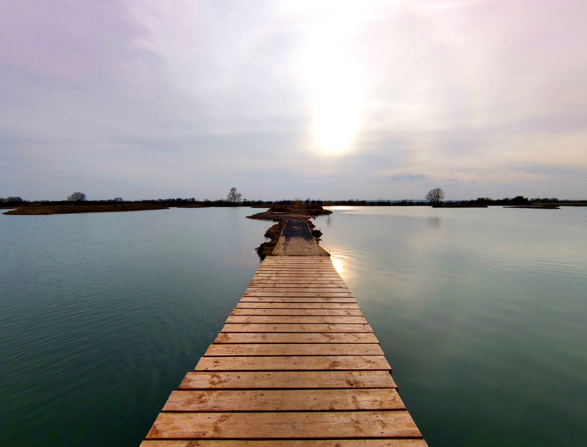 Last weeks 🎣 🎣 🎣