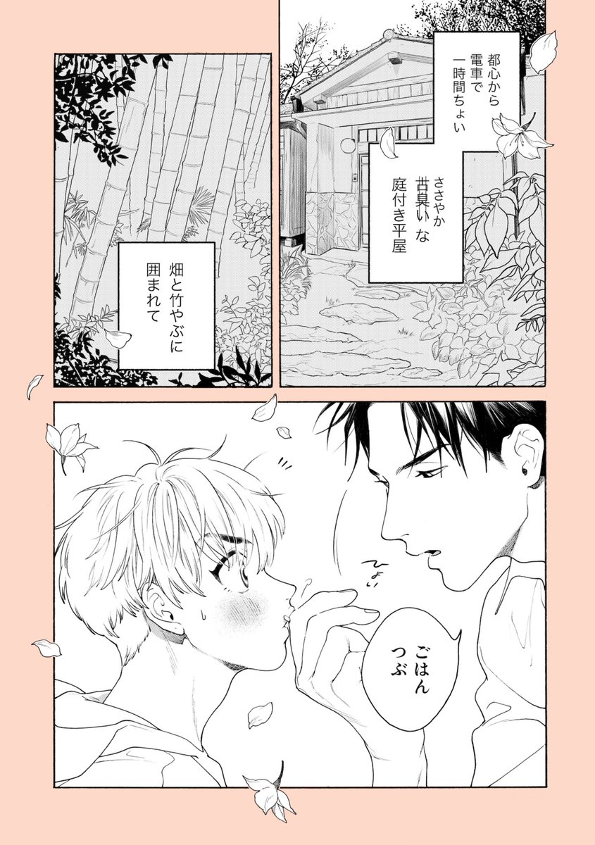 やさしすぎる彼氏と俺の話をきいてくれ(1/3)
#創作BL #つまさきの紫陽花 