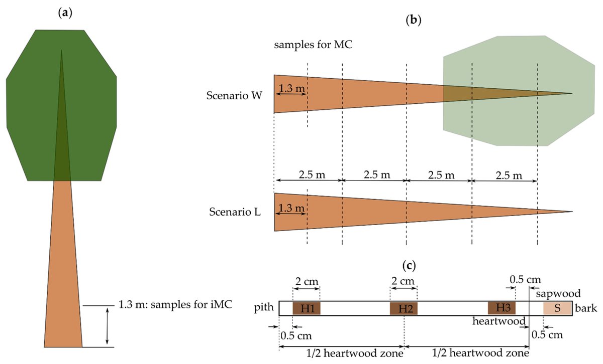 wltdpoznan's tweet photo. A new paper by Tomczak A, Tomczak K, Jelonek T, Naskrent B. "Within-Stem Differences in #MoistureContent Loss during Transpiration and Air-Drying of Felled #Oak #Trees" published in @Forests_MDPI: https://t.co/zdfFVK1aH7.
@up_poznan @wltdpoznan #felledtrees #moisturecontentloss https://t.co/4vHnwPMmpy